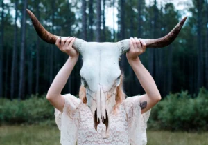 Lee más sobre el artículo Creatures that charm individuals with their insights